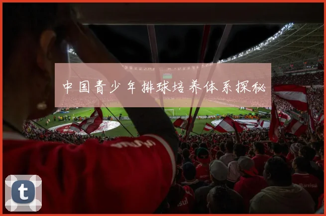 中国青少年排球培养体系探秘