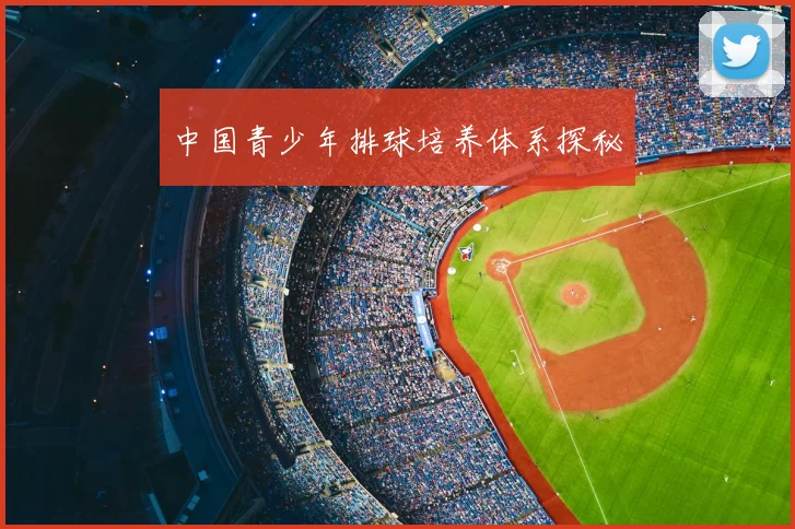 中国青少年排球培养体系探秘