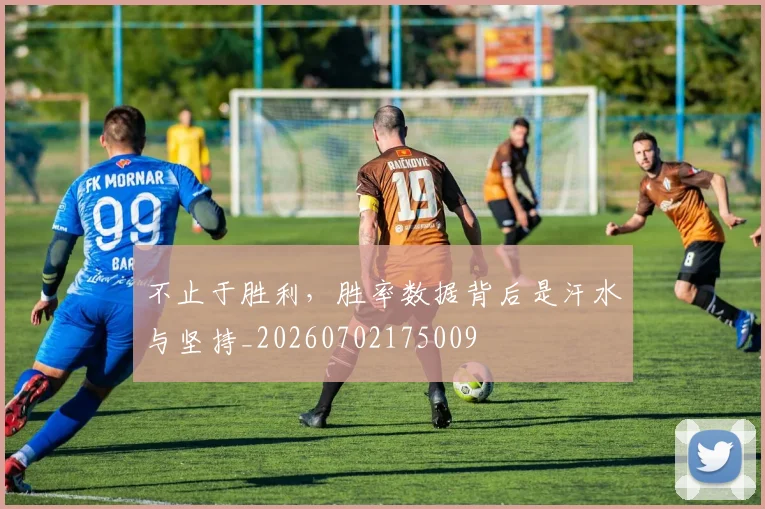 不止于胜利，胜率数据背后是汗水与坚持_20260702175009