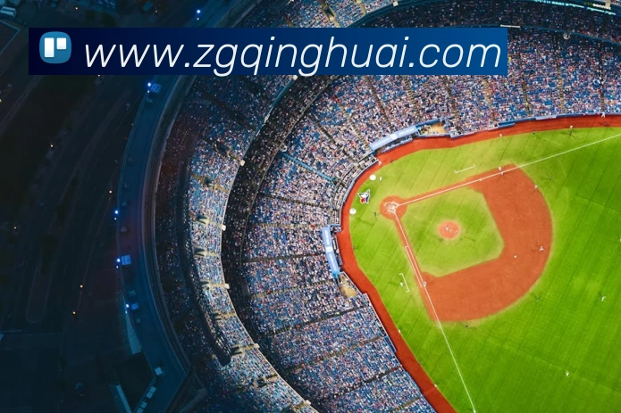 hg体育APP 高清赛事图